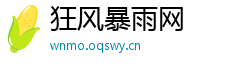 狂风暴雨网